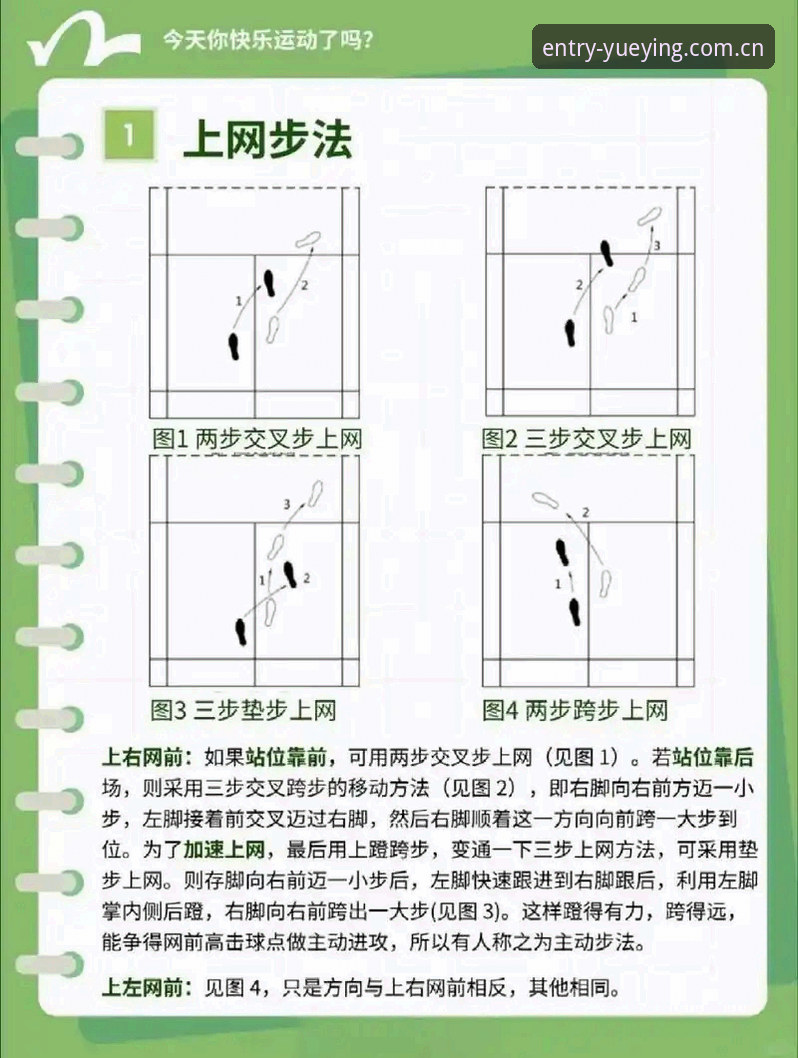悦盈体育官网使用技巧教程：从新手到高手的完整指南